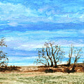 LANDSCAPE #0021