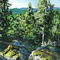 LANDSCAPE #0023